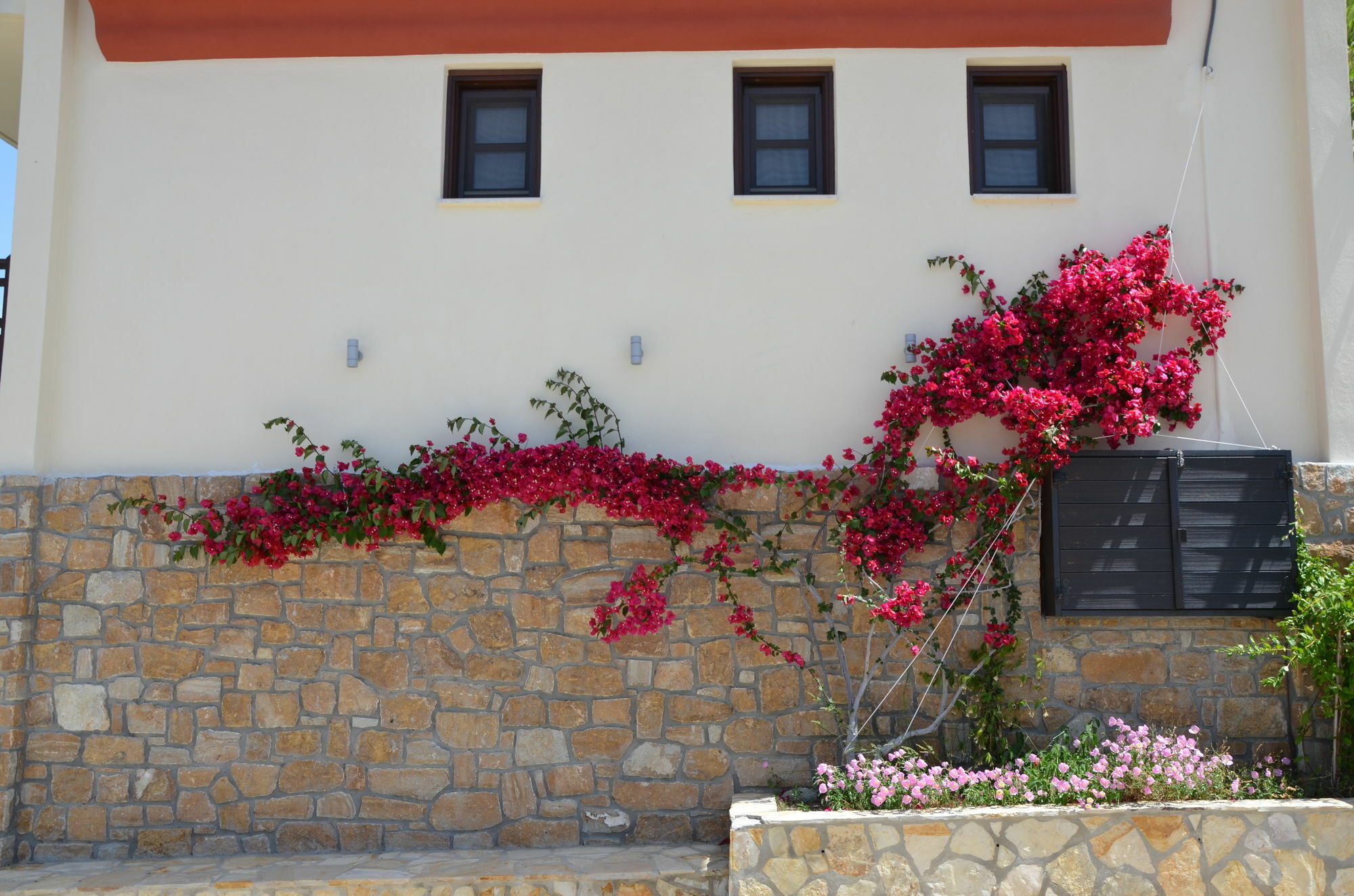 Helianthus Guesthouse أمولياني المظهر الخارجي الصورة
